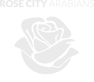 Rose city arabians footer logo